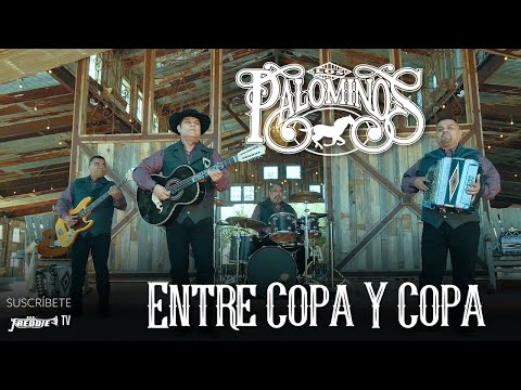 Los Palominos – Entre Copa Y Copa (Video Oficial)